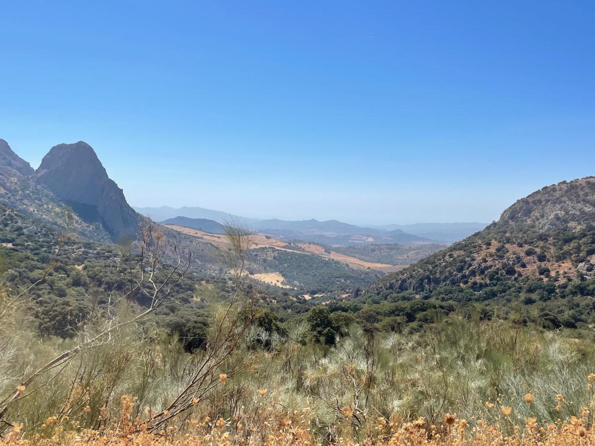 Cortijo Rancho Verde Colmenar Luaran gambar