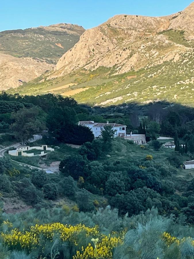 Cortijo Rancho Verde Colmenar Luaran gambar