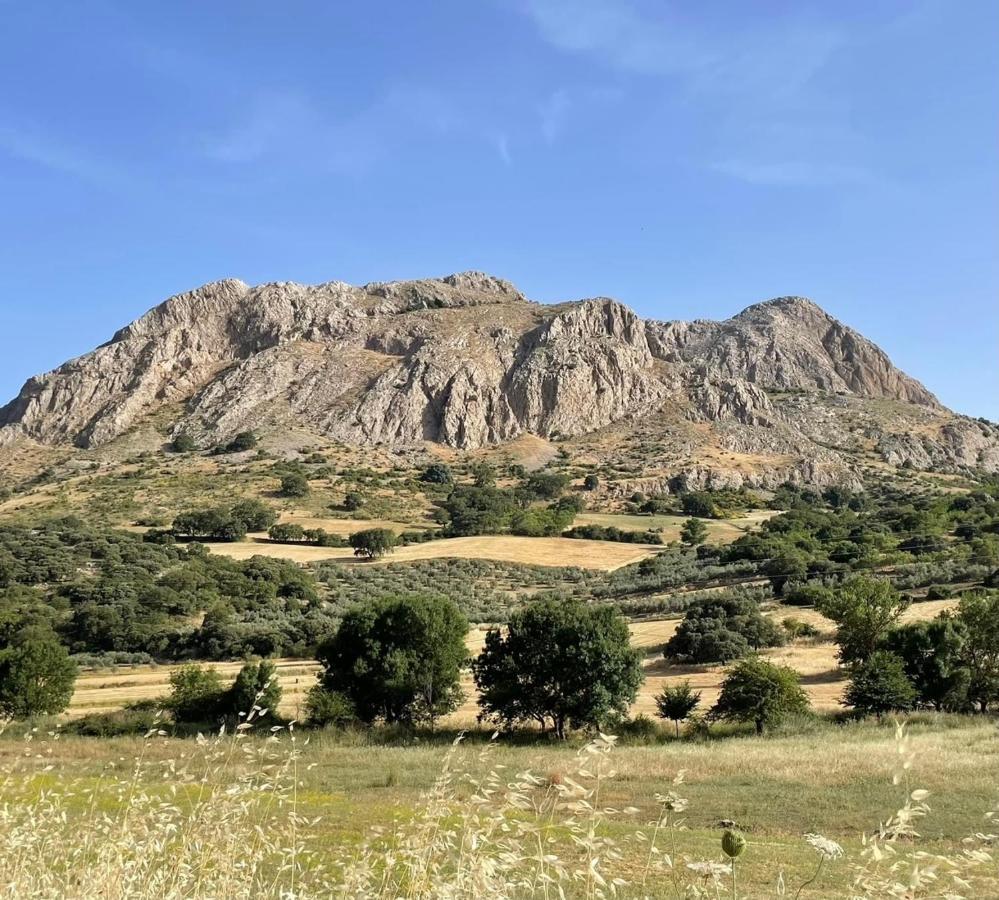 Cortijo Rancho Verde Colmenar Luaran gambar