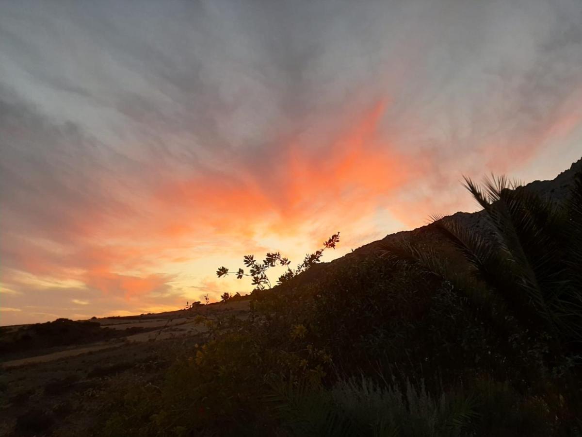 Cortijo Rancho Verde Colmenar Luaran gambar