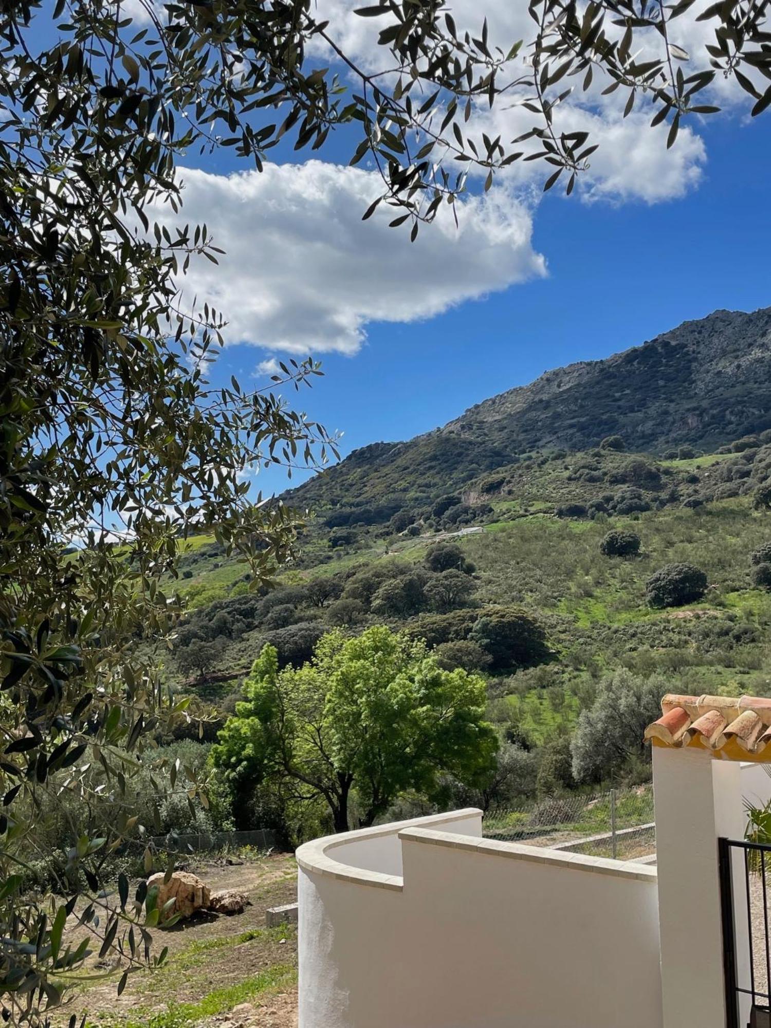 Cortijo Rancho Verde Colmenar Luaran gambar