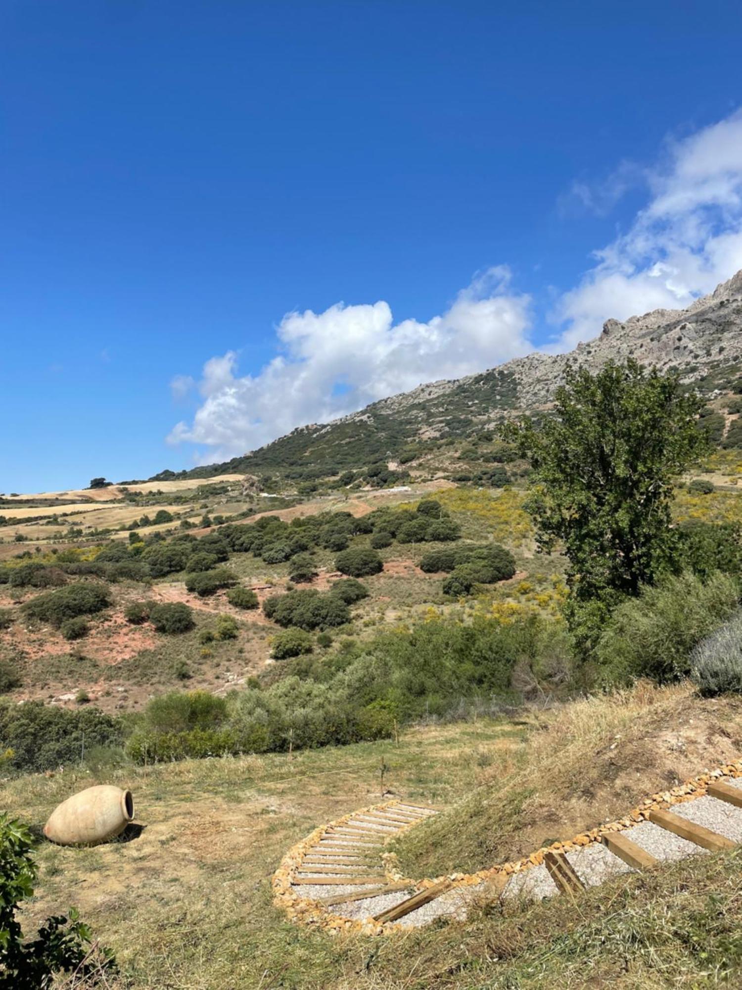 Cortijo Rancho Verde Colmenar Luaran gambar