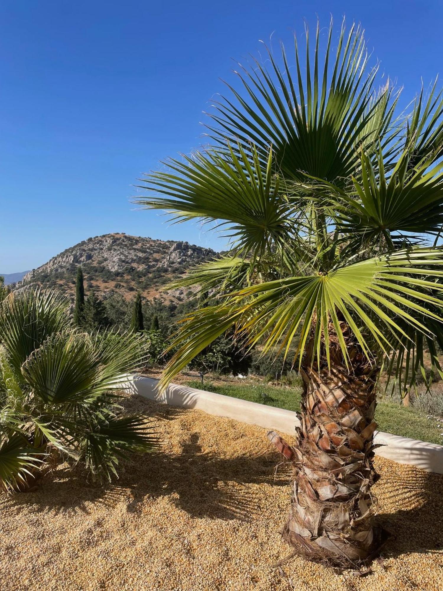 Cortijo Rancho Verde Colmenar Luaran gambar